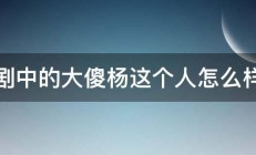 话剧中的大傻杨这个人怎么样啊 