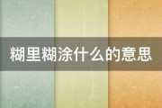 糊里糊涂什么的意思 