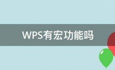 WPS有宏功能吗 