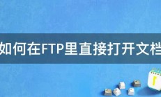 如何在FTP里直接打开文档 