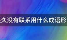 很久没有联系用什么成语形容 