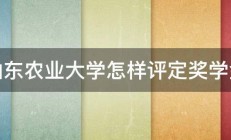 山东农业大学怎样评定奖学金 