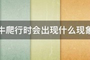 蜗牛爬行时会出现什么现象吗 