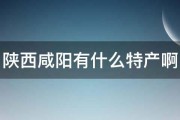 陕西咸阳有什么特产啊 