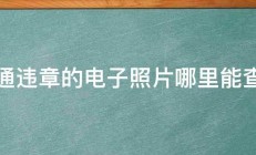 交通违章的电子照片哪里能查到 