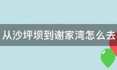 从沙坪坝到谢家湾怎么去 