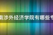 湖南涉外经济学院有哪些专业 