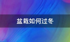 盆栽如何过冬 