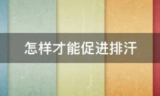 怎样才能促进排汗 