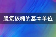 脱氧核糖的基本单位 