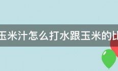 打玉米汁怎么打水跟玉米的比例 