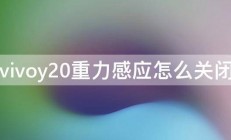 vivoy20重力感应怎么关闭 