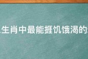 十二生肖中最能捱饥饿渴的动物 