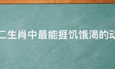 十二生肖中最能捱饥饿渴的动物 