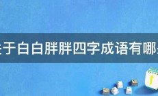 关于白白胖胖四字成语有哪些 