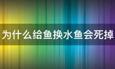 为什么给鱼换水鱼会死掉 