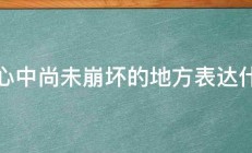 我心中尚未崩坏的地方表达什么 