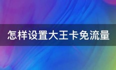 怎样设置大王卡免流量 