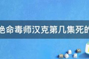 绝命毒师汉克第几集死的 