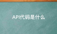 API代码是什么 