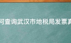 如何查询武汉市地税局发票真伪 