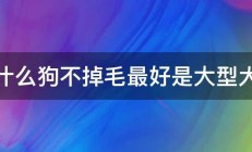 什么狗不掉毛最好是大型犬 