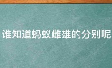 谁知道蚂蚁雌雄的分别呢 