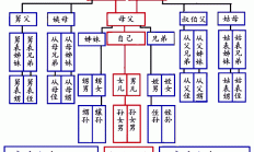 三代以内旁系血亲包括哪些人 