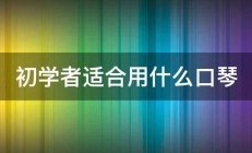 初学者适合用什么口琴 