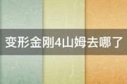 变形金刚4山姆去哪了 