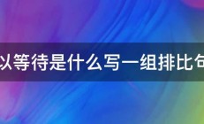 以等待是什么写一组排比句 