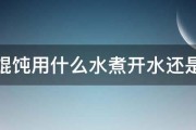 速冻馄饨用什么水煮开水还是冷水 