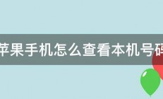 苹果手机怎么查看本机号码 