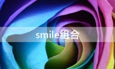 smile组合 