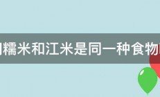 问糯米和江米是同一种食物吗 