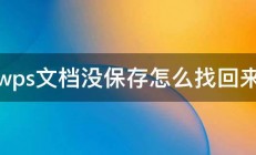 wps文档没保存怎么找回来 