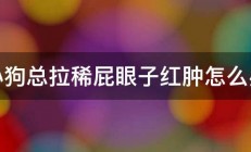 小狗总拉稀屁眼子红肿怎么办 