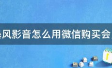 暴风影音怎么用微信购买会员 