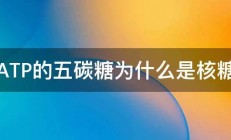 ATP的五碳糖为什么是核糖 