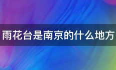 雨花台是南京的什么地方 