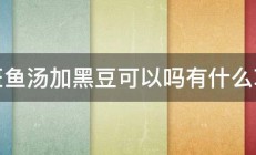 煮斑鱼汤加黑豆可以吗有什么功效 