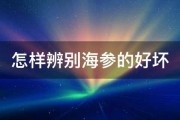 怎样辨别海参的好坏 