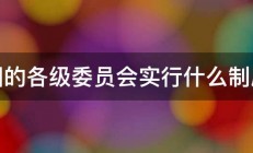 团的各级委员会实行什么制度 