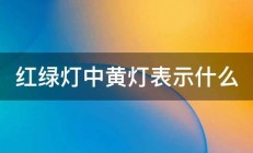 红绿灯中黄灯表示什么 