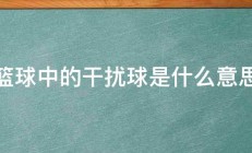 篮球中的干扰球是什么意思 