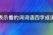 表示看的词词语四字成语 