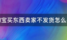 淘宝买东西卖家不发货怎么办 