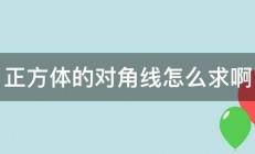 正方体的对角线怎么求啊 