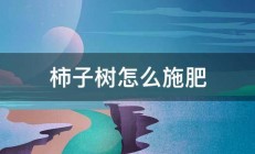 柿子树怎么施肥 