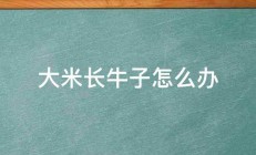 大米长牛子怎么办 